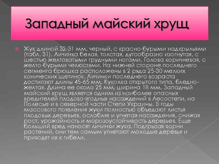 Западный майский хрущ Жук длиной 32 -31 мм, черный, с красно-бурыми надкрыльями (табл. 31).