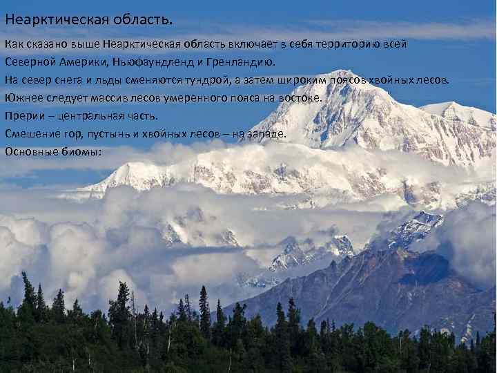 Неарктическая область. Как сказано выше Неарктическая область включает в себя территорию всей Северной Америки,