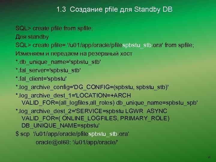  1. 3 Создание pfile для Standby DB SQL> create pfile from spfile; Для