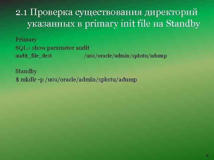 2. 1 Проверка существования директорий указанных в primary init file на Standby Primary SQL>