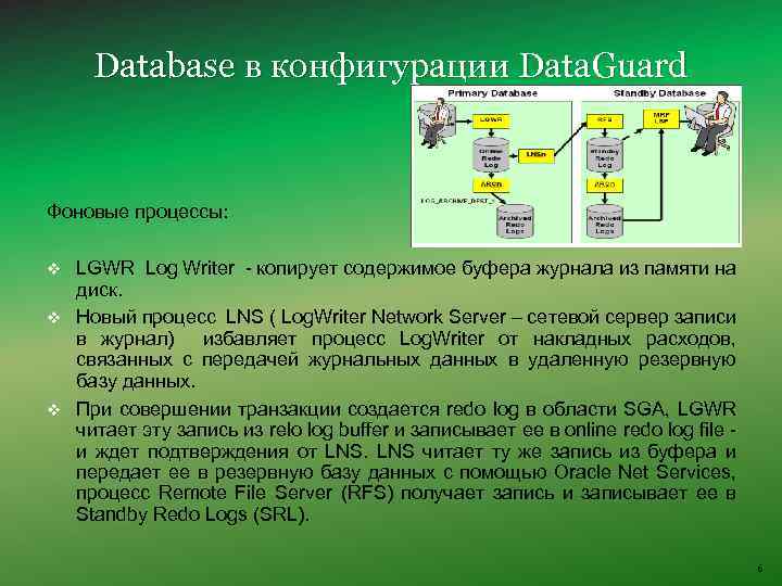 Database в конфигурации Data. Guard Фоновые процессы: v LGWR Log Writer - копирует содержимое