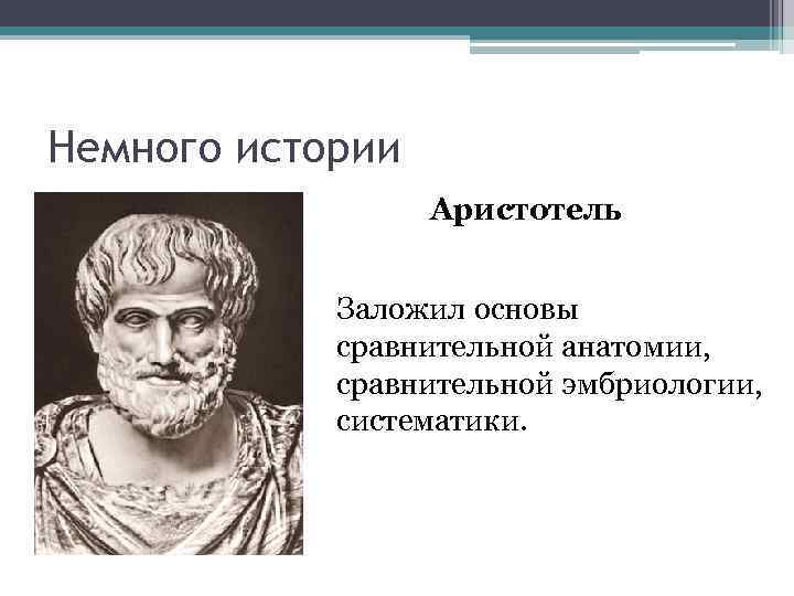 Немного истории Аристотель Заложил основы сравнительной анатомии, сравнительной эмбриологии, систематики. 