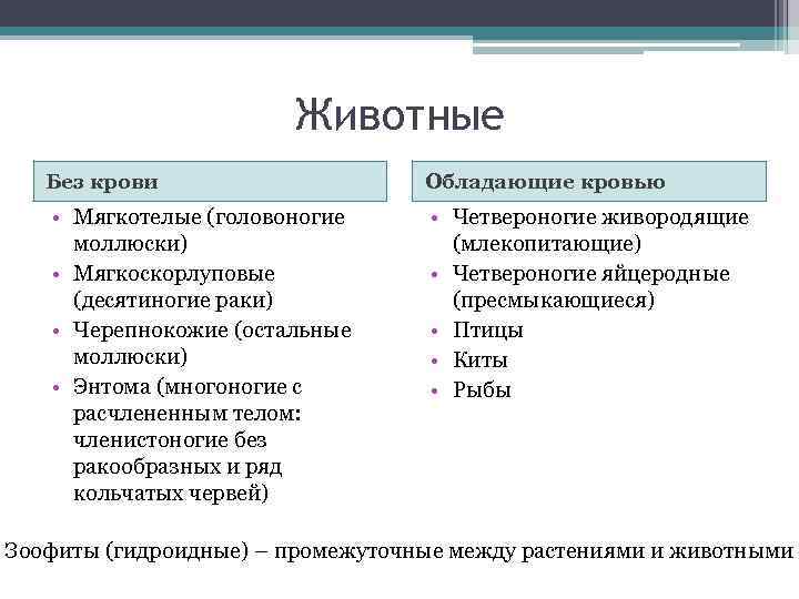 Животные Без крови Обладающие кровью • Мягкотелые (головоногие моллюски) • Мягкоскорлуповые (десятиногие раки) •