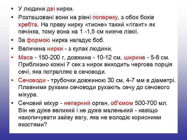  • У людини дві нирки. • Розташовані вони на рівні попереку, з обох