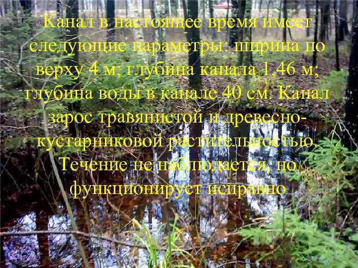 Канал в настоящее время имеет следующие параметры: ширина по верху 4 м; глубина канала