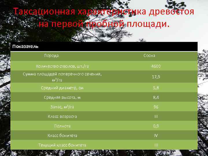 Таксационная характеристика древостоя на первой пробной площади. Показатель Порода Сосна Количестволов, шт. /га 4600