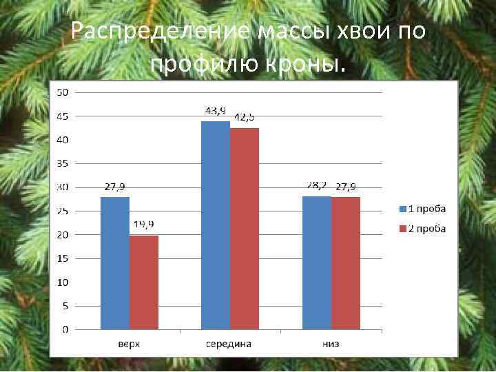 Распределение массы хвои по профилю кроны. 