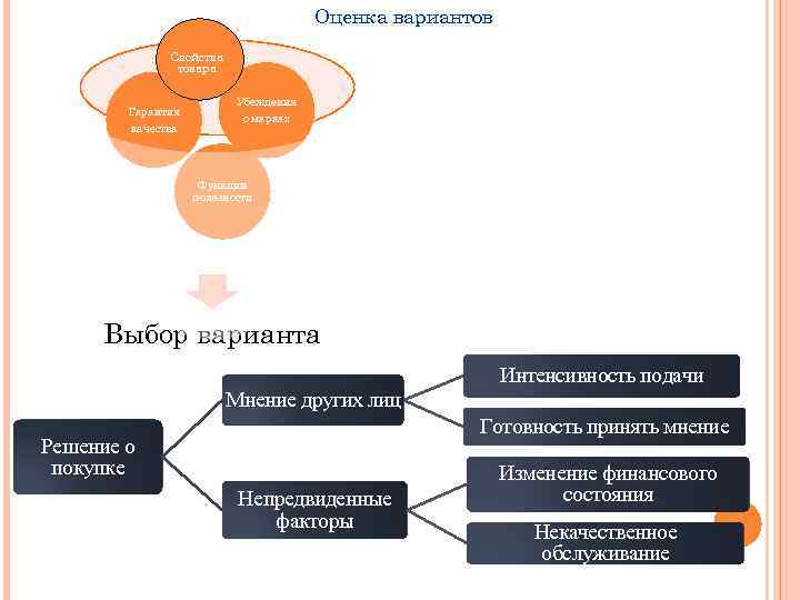 Оценка вариантов Свойства товара Гарантия качества Убеждения о марках Функции полезности Выбор варианта Мнение