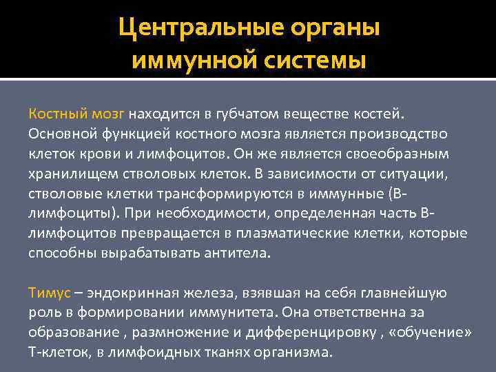 Центральные органы иммунной системы Костный мозг находится в губчатом веществе костей. Основной функцией костного