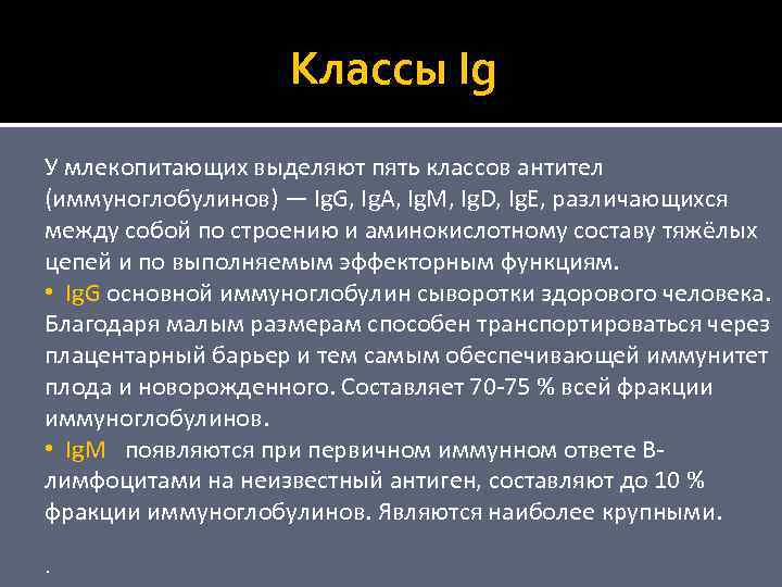 Классы Ig У млекопитающих выделяют пять классов антител (иммуноглобулинов) — Ig. G, Ig. A,