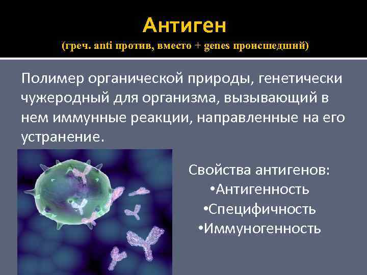 Антиген (греч. anti против, вместо + genes происшедший) Полимер органической природы, генетически чужеродный для