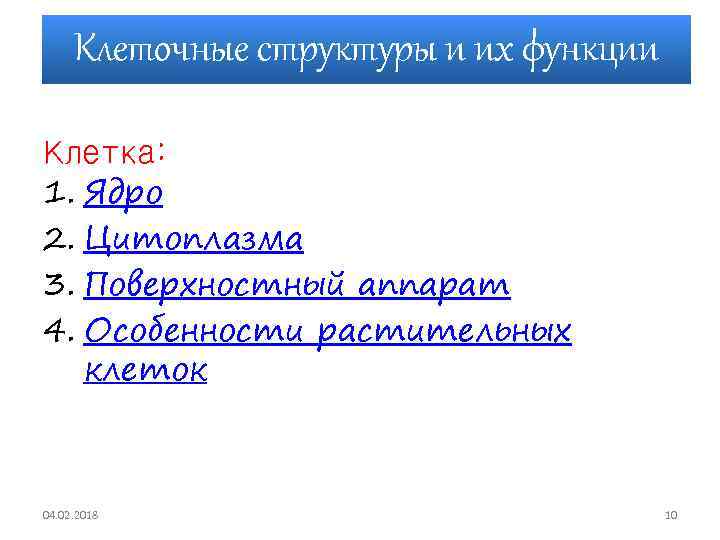 Клеточные структуры и их функции Клетка: 1. Ядро 2. Цитоплазма 3. Поверхностный аппарат 4.