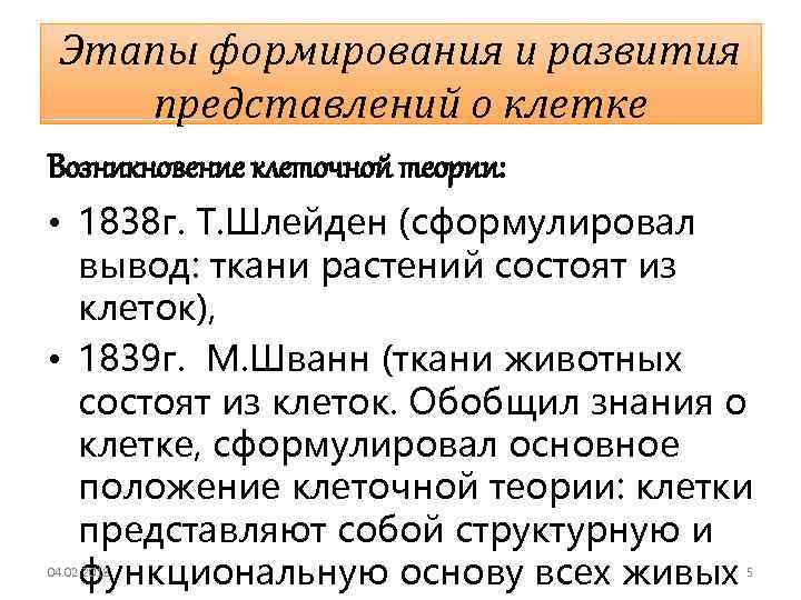 Этапы формирования и развития представлений о клетке Возникновение клеточной теории: • 1838 г. Т.