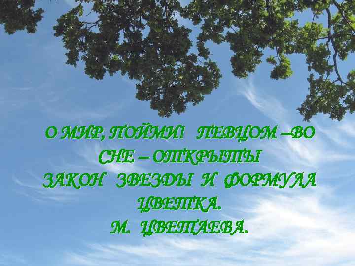 О МИР, ПОЙМИ! ПЕВЦОМ –ВО СНЕ – ОТКРЫТЫ ЗАКОН ЗВЕЗДЫ И ФОРМУЛА ЦВЕТКА. М.