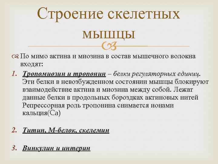 Строение скелетных мышцы По мимо актина и миозина в состав мышечного волокна входят: 1.