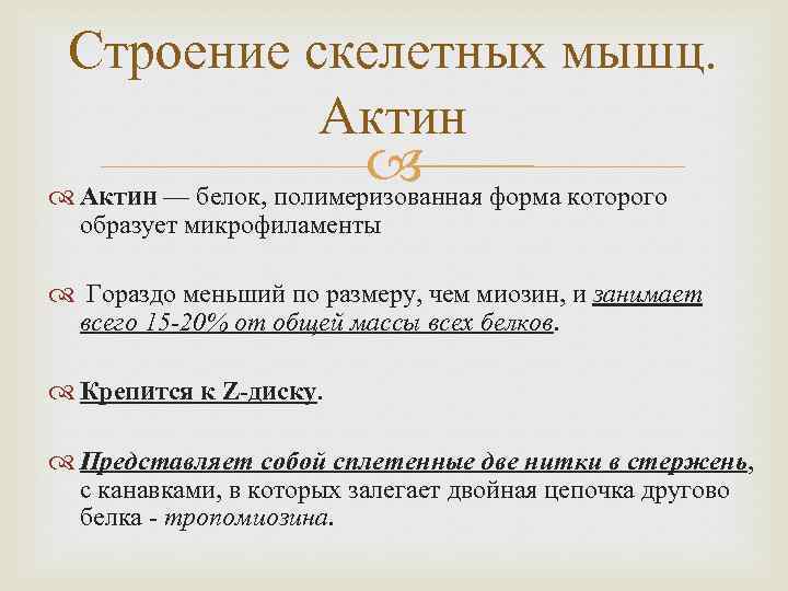 Строение скелетных мышц. Актин — белок, полимеризованная форма которого образует микрофиламенты Гораздо меньший по