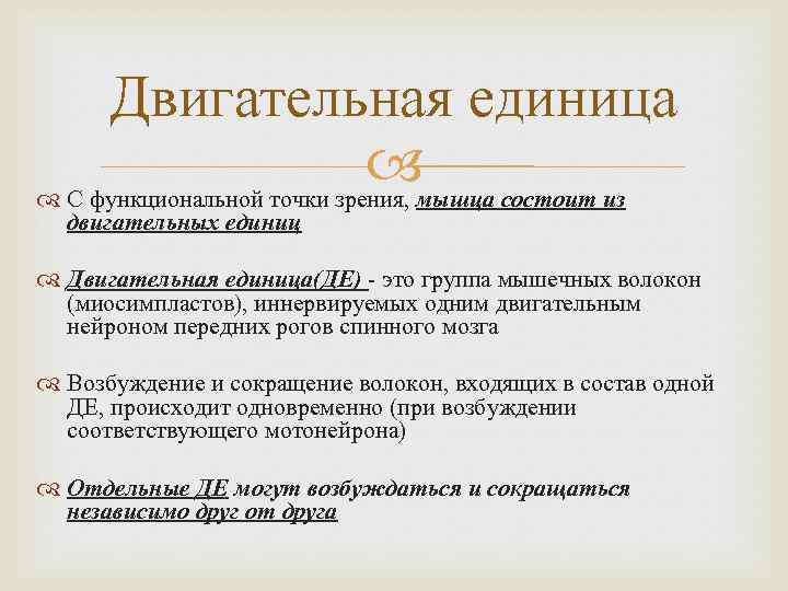 Двигательная единица С функциональной точки зрения, мышца состоит из двигательных единиц Двигательная единица(ДЕ) это