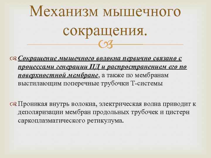 Механизм мышечного сокращения. Сокращение мышечного волокна первично связано с процессами генерации ПД и распространением