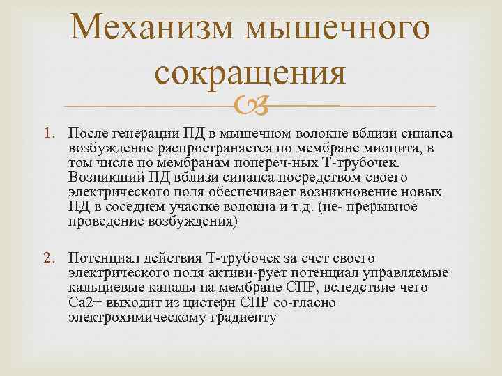 Механизм мышечного сокращения 1. После генерации ПД в мышечном волокне вблизи синапса возбуждение распространяется