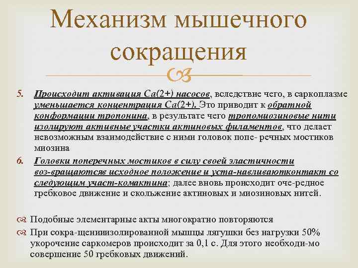 5. 6. Механизм мышечного сокращения Происходит активация Ca(2+) насосов, вследствие чего, в саркоплазме уменьшается