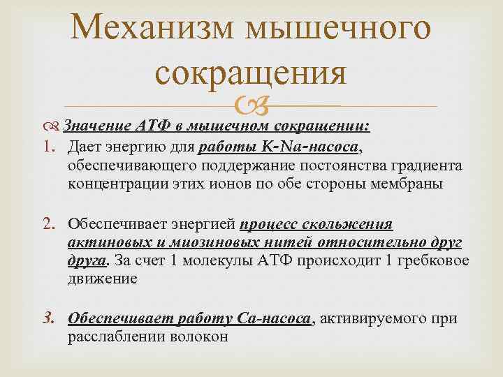 Сокращения смыслов. Роль АТФ В механизмах мышечного сокращения. Механизм мышечного насоса. АТФ В мышечном сокращении. АТФ В механизме мышечного сокращения.