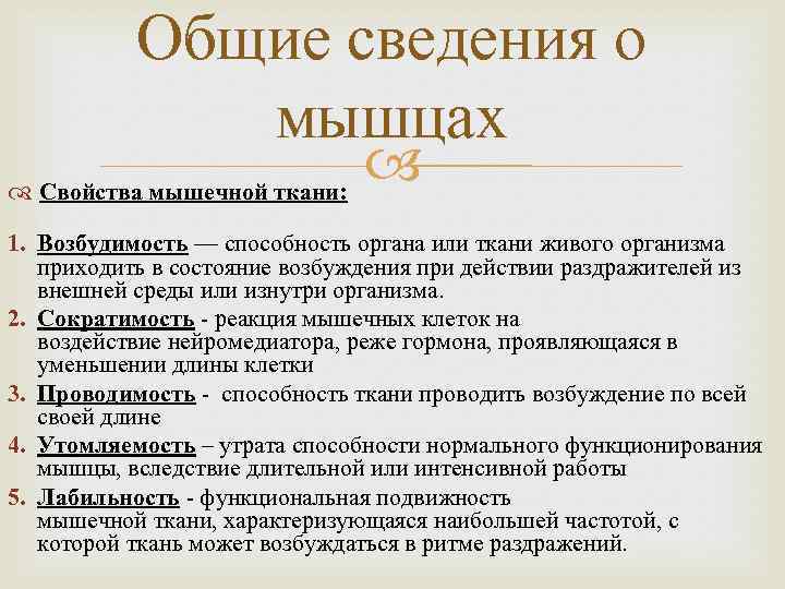 Общие сведения о мышцах Свойства мышечной ткани: 1. Возбудимость — способность органа или ткани