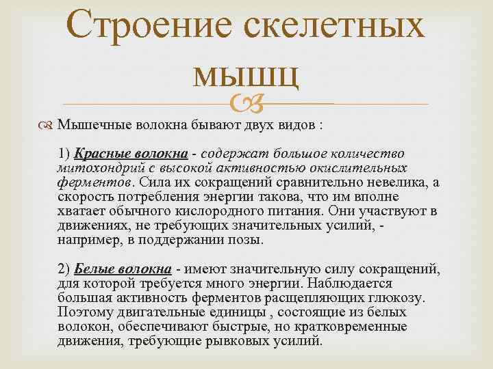 Строение скелетных мышц Мышечные волокна бывают двух видов : 1) Красные волокна содержат большое