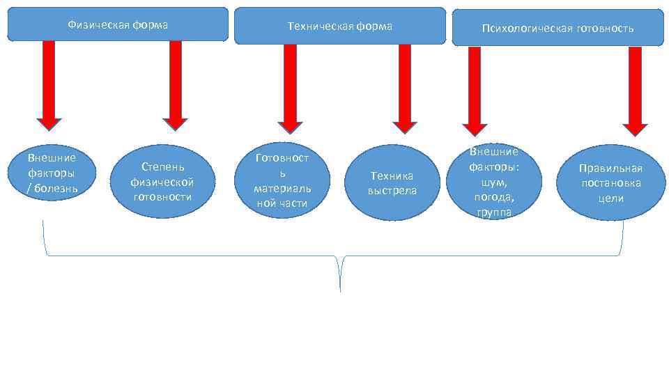 Физическая форма Внешние факторы / болезнь Степень физической готовности Техническая форма Готовност ь материаль