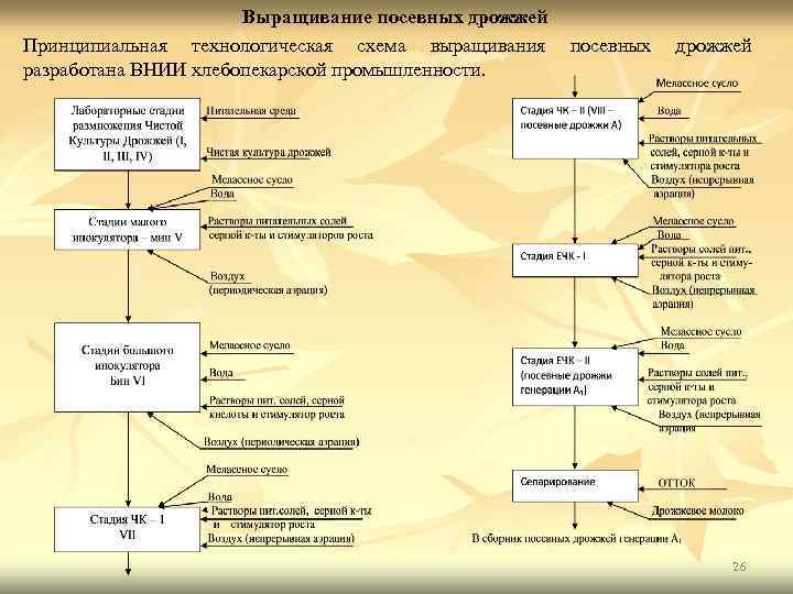 Схема производства дрожжей