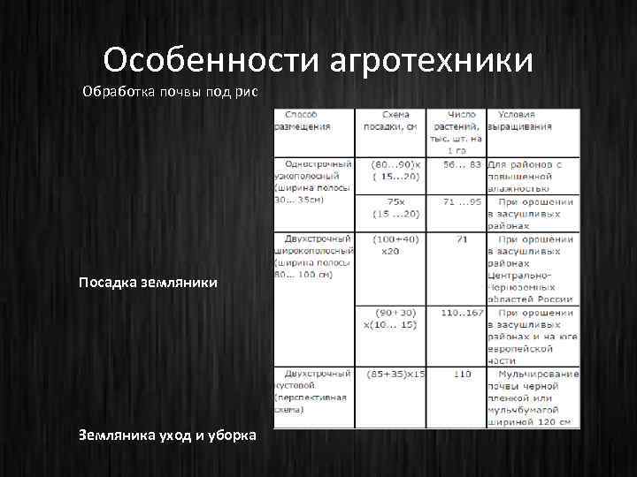 Особенности агротехники Обработка почвы под рис Посадка земляники Земляника уход и уборка 