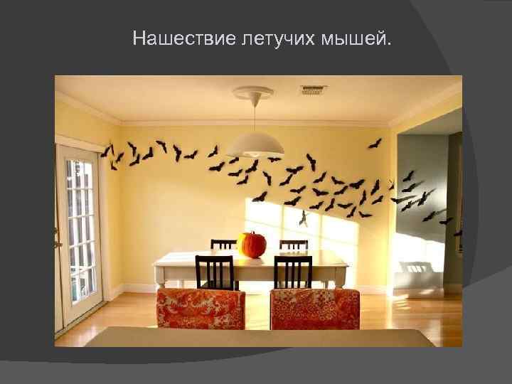 Нашествие летучих мышей. 