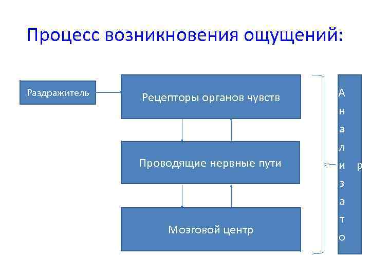 Процесс возникновения чувств