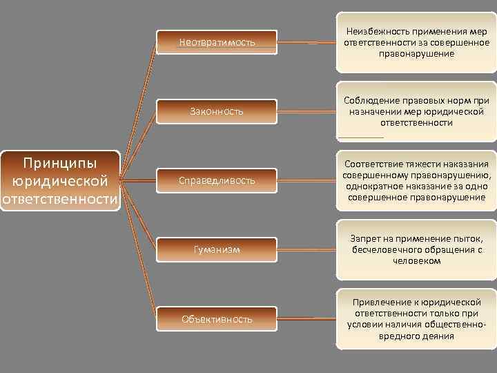 Неотвратимость Законность Принципы юридической ответственности Неизбежность применения мер ответственности за совершенное правонарушение Соблюдение правовых