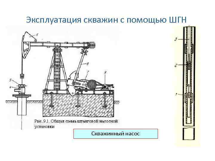 Шгн