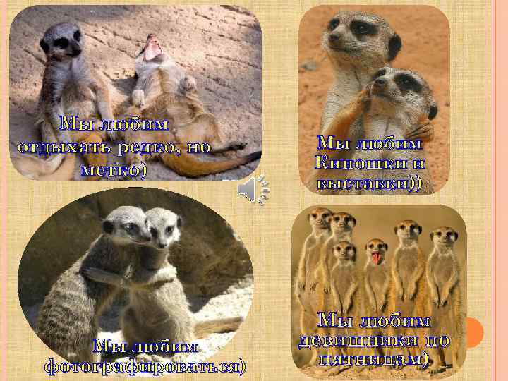 Мы любим отдыхать редко, но метко) Мы любим фотографироваться) Мы любим Киношки и выставки))