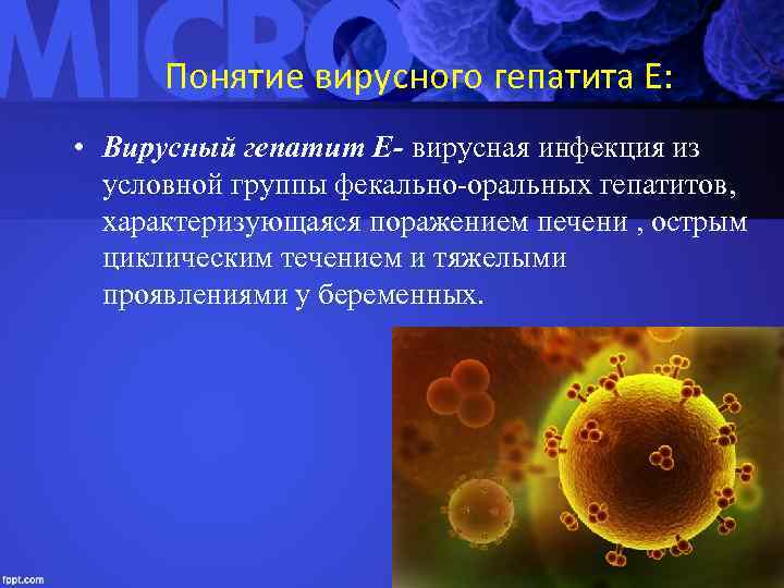 Понятие вирусного гепатита Е: • Вирусный гепатит Е- вирусная инфекция из условной группы фекально-оральных