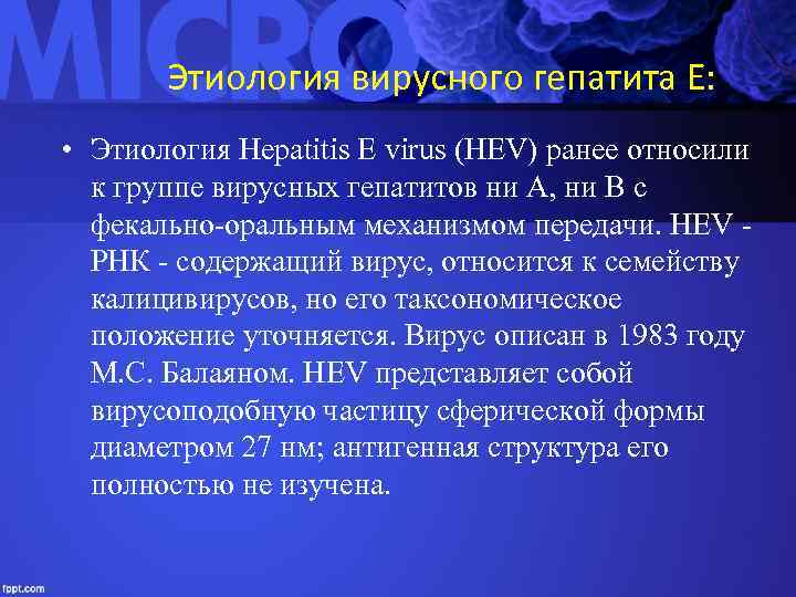 Этиология вирусного гепатита Е: • Этиология Hepatitis E virus (HEV) ранее относили к группе