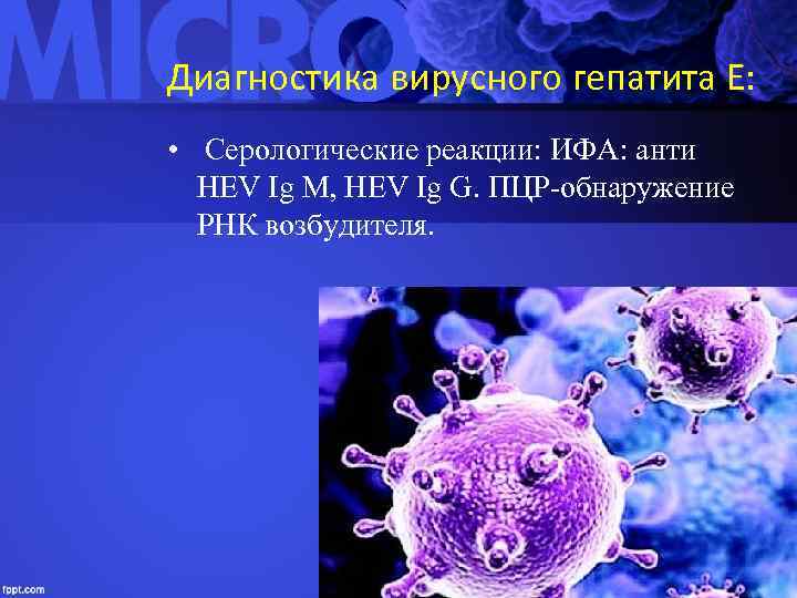 Диагностика вирусного гепатита Е: • Серологические реакции: ИФА: анти HEV Ig M, HEV Ig