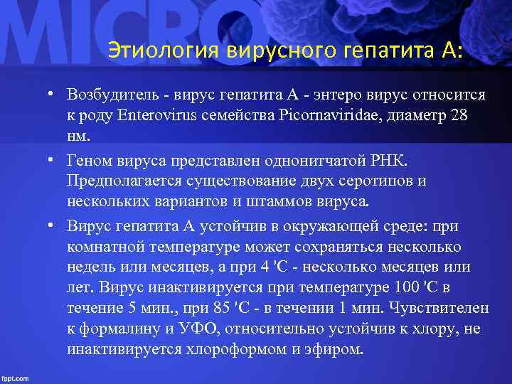 Этиология вирусного гепатита А: • Возбудитель - вирус гепатита А - энтеро вирус относится