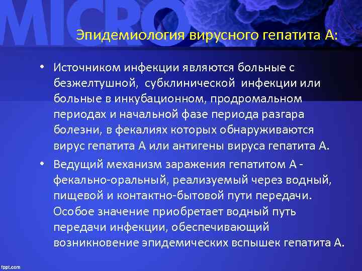 Эпидемиология вирусного гепатита А: • Источником инфекции являются больные с безжелтушной, субклинической инфекции или