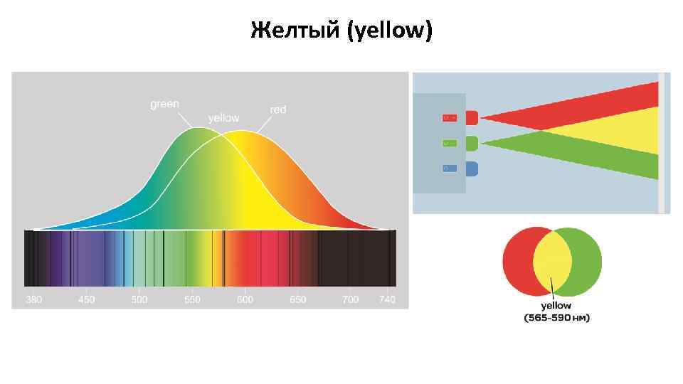 Желтый (yellow) 