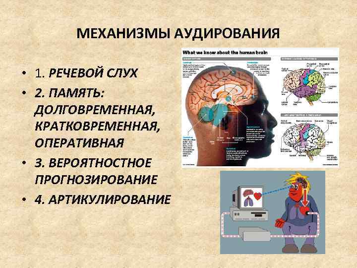 МЕХАНИЗМЫ АУДИРОВАНИЯ • 1. РЕЧЕВОЙ СЛУХ • 2. ПАМЯТЬ: ДОЛГОВРЕМЕННАЯ, КРАТКОВРЕМЕННАЯ, ОПЕРАТИВНАЯ • 3.