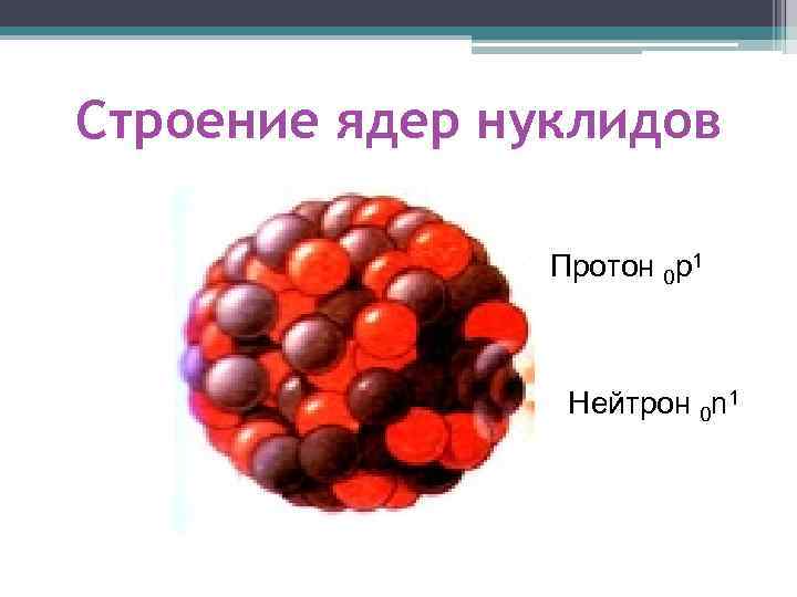 Строение ядер нуклидов Протон 0 p 1 Нейтрон 0 n 1 