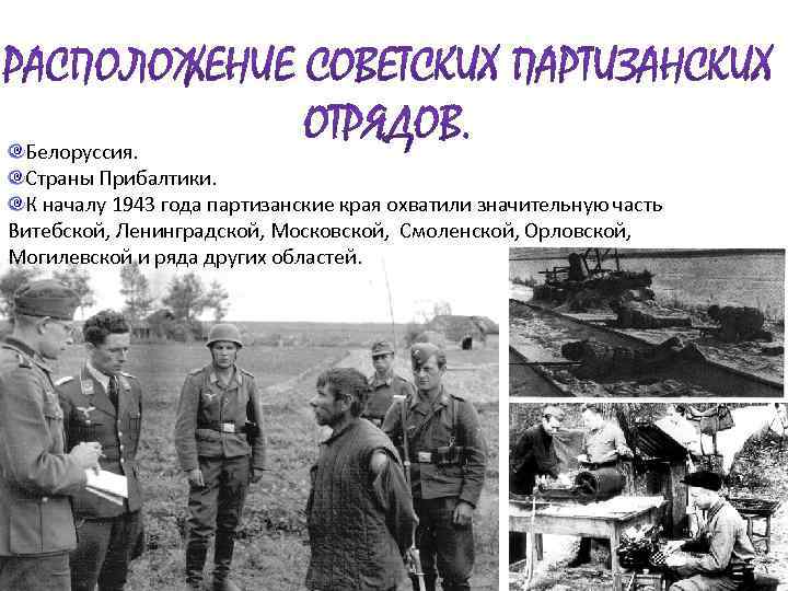 Белоруссия. Страны Прибалтики. К началу 1943 года партизанские края охватили значительную часть Витебской, Ленинградской,