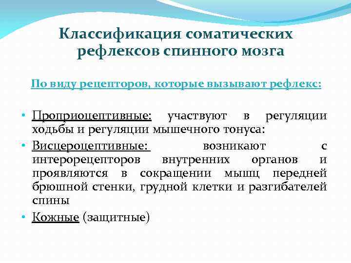 Кожно мышечные рефлексы. Классификация рефлексов. Классификация соматических рефлексов спинного мозга. Классификация спинальных рефлексов. Классификация двигательных рефлексов спинного мозга.