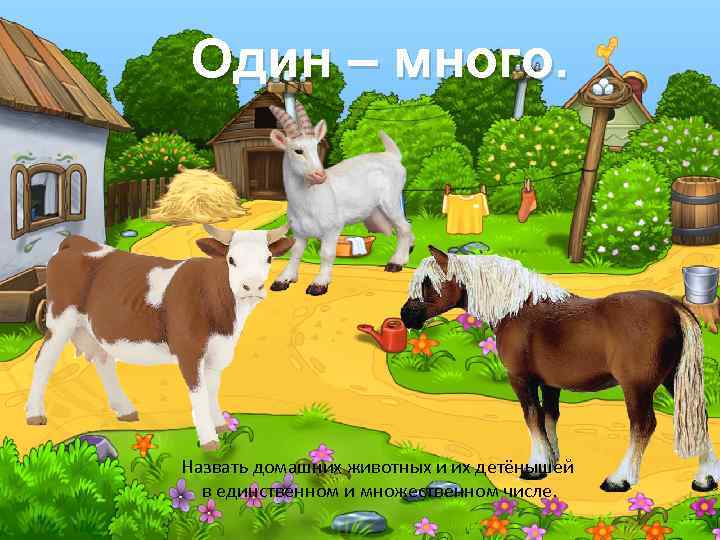 Один – много. Назвать домашних животных и их детёнышей в единственном и множественном числе.