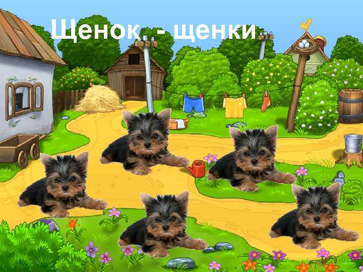 Щенок - щенки 