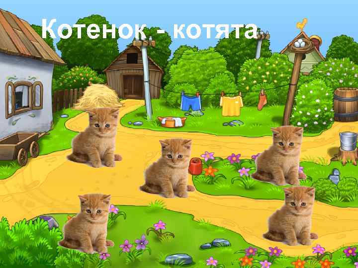 Котенок - котята 