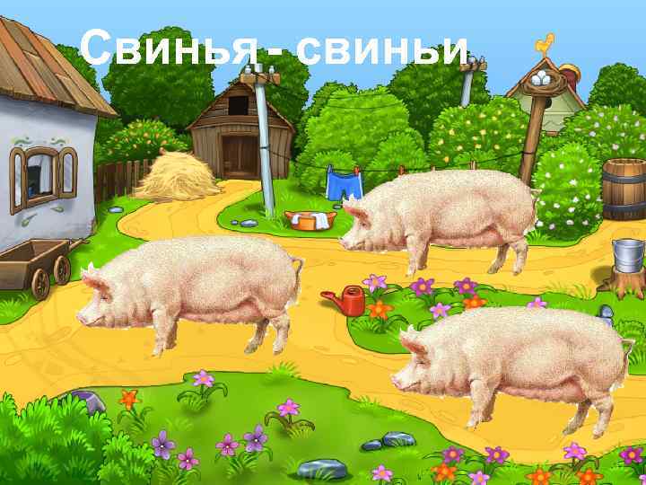 Свинья - свиньи 
