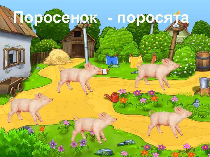 Поросенок - поросята 